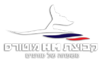 לוגו HM מוטורס, מעבר לאתר החברה